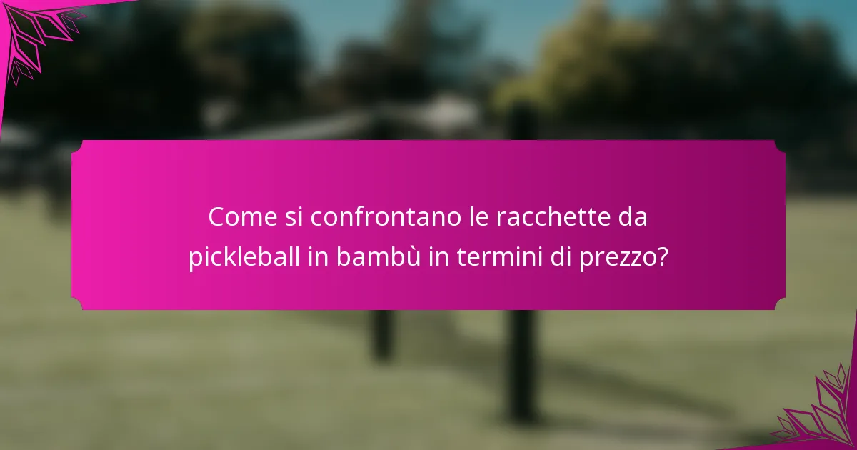 Come si confrontano le racchette da pickleball in bambù in termini di prezzo?